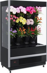 Холодильная горка для цветов Carboma FC20-08 VM 1,0-2 FLORA (9006-9005 )