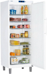 Шкаф холодильный LIEBHERR ProfiLine GKv 6410