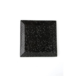 Тарелка квадратная Porland Black Moss 18 см