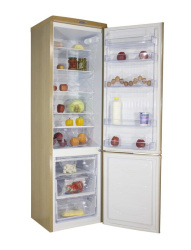 Холодильник DON R-295 ZF (золотой цветок)