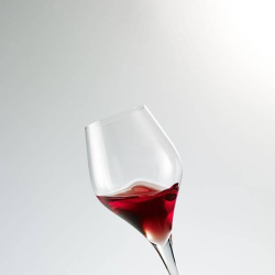 Бокал для вина Schott Zwiesel Финесс 440 мл, D55 мм, H243 мм