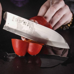 Нож для японской кухни Sekiryu Киото L300/180 мм, B40 мм