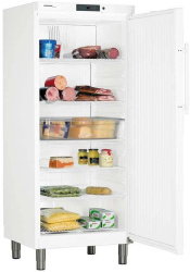 Шкаф холодильный LIEBHERR ProfiLine GKv 5710